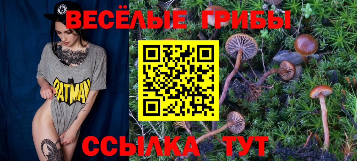 Псилоцибиновые грибы Cubensis  как найти   Алатырь  Вход с VPN 
