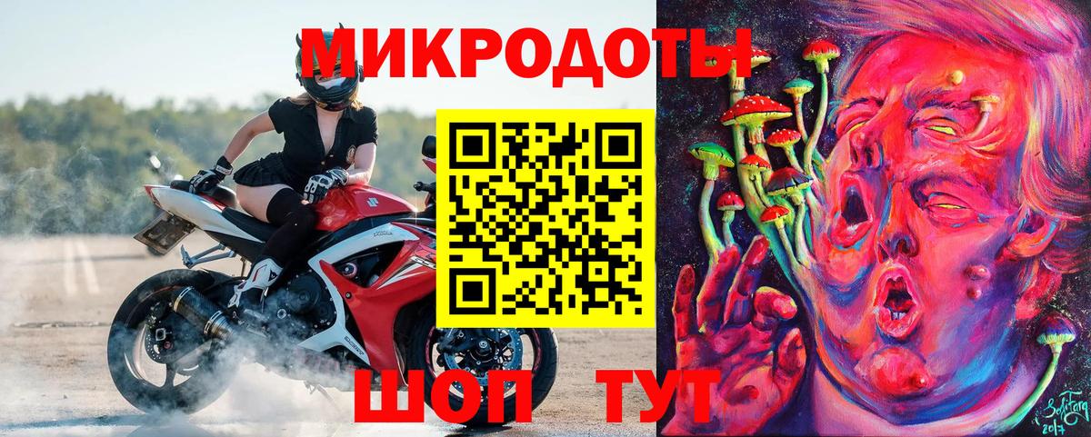Псилоцибиновые грибы Psilocybe Алатырь